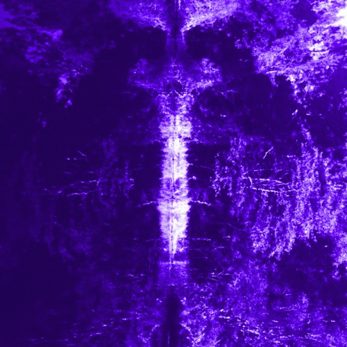 Gorestine : Ash Blows Like Water Through the Wind